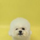 포즈티브 이미지