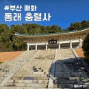 충렬사 입구 | 부산 동래 충렬사 매화 개화상태 아직 방문하지 마세요