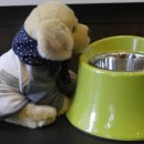 오즈동물병원 이미지