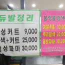 듀발정리