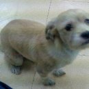 롯데마트 육교아래 이미지