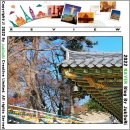398-2-000051 | [여행243] 오도산 자연휴양림 그리고 국내 3대사찰 해인사