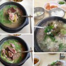 통양상회 | 6시내고향 예산상설시장 시장 국밥, 먹태 파는 곳, 떡도그 떡집 촬영지 장소 어디? 충남 예산 삼국축제...