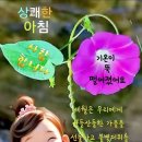 상쾌한아침