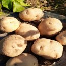 산우물농장 이미지