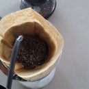 Plus bean(플러스빈)