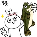 순천-44호 이미지