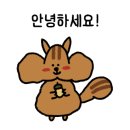 어푸왁싱 울산점