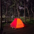 소나무캠핑 이미지