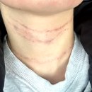 압구정세가지소원의원 이미지