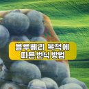 성수문량길 이미지