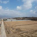 포천토지박사공인중개사사무소 이미지