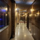 챔피언나이트클럽 이미지