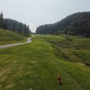 이글몬트cc 이미지