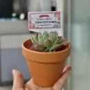 뜨레봄한의원 | 2024 황금2동 어버이날 효잔치 [함께하니 행복하老]