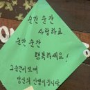 야무진세탁 | 게을러 빠진거 같아 보이지만 누구보다 야무진(척을 잘함)