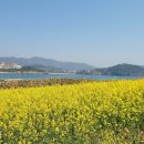 (주)마음 네이버블로그