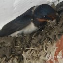 수옥경로당 이미지