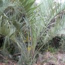 한림농장 이미지