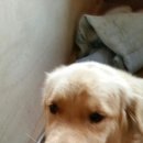 멈머