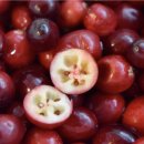 큰사랑건강약국 이미지