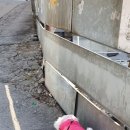 행복한요나네 이미지