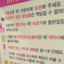 하이방방 이미지