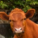 알파안전 이미지