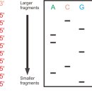부산일과학고등학교 이미지