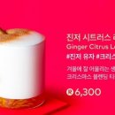 인어루트 이미지