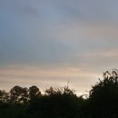 계화회관 이미지