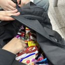 마랑데이지 | 수학여행