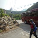 삼봉농원 이미지