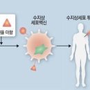 중입자치료란? 암 치료에 새로운 길이 열리네요 비용 및 치료센터는? 이미지