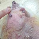 메디힐동물병원 이미지