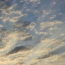 황방산 맨발걷기 이미지