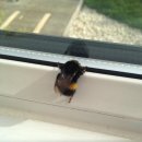 청춘 ON.1 빈센트블루 | 2025 그랜드 민트 페스티벌 후기