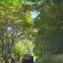 파래소 빨간지붕 이미지