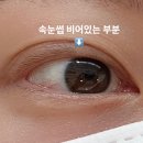 [안양]범계 속눈썹연장 잘하는곳 추천 메종드다이아 범계점 연희쌤 후기