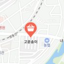 고운송이