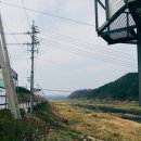 섬강기사식당 | 섬강 자전거길 (횡성 - 서울)