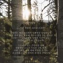 러브스토리공방 | 종로 투와이스톤 (2YSTONE) | 서순라길 커플링, 웨딩밴드 공방 계약 완료 후기