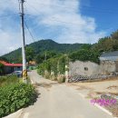 함평 자형정 이미지