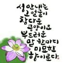 오늘도 고맙소