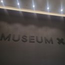 엑스텀 | [속초] 속초여행 실내 가볼만한곳 뮤지엄엑스 AI 패키지 후기