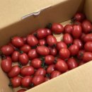 금원수목원수영장 | 아이와 함께 서울 근교 당일치기 캠크닉! 경기도 광주 금원수목원 솔직 후기