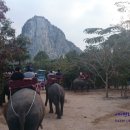 황금코끼리PC 이미지