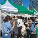 마켓통통 이미지