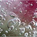 아름다운피부 이미지