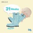 차와 함께 일상으로의 여행 | 31주차 임산부 일상ㅣ임신 후기 증상, 청주 소이로, 가을 뚜벅이 경주 태교 여행, 감성숙소 조히